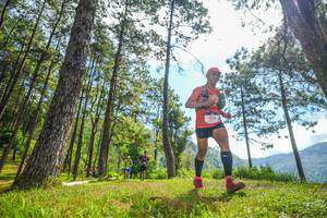 BIB: 5830
                            <button type="button" onclick="openModal(19286838)" class="btn btn-primary btn-sm float-right btn-popup" data-toggle="modal" data-target=".modal-high-quality">
                        <i class="fas fa-shopping-cart"></i> Add to Cart
                    </button>
                                            <button type="button" onclick="isThisMe(19286838, true)" class="btn btn-success btn-sm float-right btn-popup btn-isme hidden" data-toggle="tooltip" data-placement="bottom" title="นี่คือรูปของคุณใช่ไหม คลิกที่นี่เพื่อเอาเข้าอัลบั้ม">
                        <i class="fas fa-plus"></i> Add to album
                    </button>
                    <button type="button" onclick="isThisMe(19286838, false)" class="btn btn-warning btn-sm float-right btn-popup btn-isnotme hidden">
                        <i class="fas fa-ban"></i> Remove from album
                    </button>