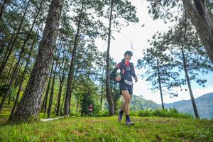 BIB: 
                            <button type="button" onclick="openModal(19284504)" class="btn btn-primary btn-sm float-right btn-popup" data-toggle="modal" data-target=".modal-high-quality">
                        <i class="fas fa-shopping-cart"></i> Add to Cart
                    </button>
                                            <button type="button" onclick="isThisMe(19284504, true)" class="btn btn-success btn-sm float-right btn-popup btn-isme hidden" data-toggle="tooltip" data-placement="bottom" title="นี่คือรูปของคุณใช่ไหม คลิกที่นี่เพื่อเอาเข้าอัลบั้ม">
                        <i class="fas fa-plus"></i> Add to album
                    </button>
                    <button type="button" onclick="isThisMe(19284504, false)" class="btn btn-warning btn-sm float-right btn-popup btn-isnotme hidden">
                        <i class="fas fa-ban"></i> Remove from album
                    </button>