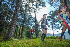 BIB: 
                            <button type="button" onclick="openModal(19281320)" class="btn btn-primary btn-sm float-right btn-popup" data-toggle="modal" data-target=".modal-high-quality">
                        <i class="fas fa-shopping-cart"></i> Add to Cart
                    </button>
                                            <button type="button" onclick="isThisMe(19281320, true)" class="btn btn-success btn-sm float-right btn-popup btn-isme hidden" data-toggle="tooltip" data-placement="bottom" title="นี่คือรูปของคุณใช่ไหม คลิกที่นี่เพื่อเอาเข้าอัลบั้ม">
                        <i class="fas fa-plus"></i> Add to album
                    </button>
                    <button type="button" onclick="isThisMe(19281320, false)" class="btn btn-warning btn-sm float-right btn-popup btn-isnotme hidden">
                        <i class="fas fa-ban"></i> Remove from album
                    </button>