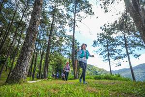 BIB: 
                            <button type="button" onclick="openModal(19290115)" class="btn btn-primary btn-sm float-right btn-popup" data-toggle="modal" data-target=".modal-high-quality">
                        <i class="fas fa-shopping-cart"></i> Add to Cart
                    </button>
                                            <button type="button" onclick="isThisMe(19290115, true)" class="btn btn-success btn-sm float-right btn-popup btn-isme hidden" data-toggle="tooltip" data-placement="bottom" title="นี่คือรูปของคุณใช่ไหม คลิกที่นี่เพื่อเอาเข้าอัลบั้ม">
                        <i class="fas fa-plus"></i> Add to album
                    </button>
                    <button type="button" onclick="isThisMe(19290115, false)" class="btn btn-warning btn-sm float-right btn-popup btn-isnotme hidden">
                        <i class="fas fa-ban"></i> Remove from album
                    </button>