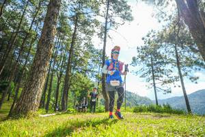 BIB: 1600
                            <button type="button" onclick="openModal(19287140)" class="btn btn-primary btn-sm float-right btn-popup" data-toggle="modal" data-target=".modal-high-quality">
                        <i class="fas fa-shopping-cart"></i> Add to Cart
                    </button>
                                            <button type="button" onclick="isThisMe(19287140, true)" class="btn btn-success btn-sm float-right btn-popup btn-isme hidden" data-toggle="tooltip" data-placement="bottom" title="นี่คือรูปของคุณใช่ไหม คลิกที่นี่เพื่อเอาเข้าอัลบั้ม">
                        <i class="fas fa-plus"></i> Add to album
                    </button>
                    <button type="button" onclick="isThisMe(19287140, false)" class="btn btn-warning btn-sm float-right btn-popup btn-isnotme hidden">
                        <i class="fas fa-ban"></i> Remove from album
                    </button>