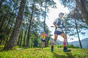 BIB: 6662
                            <button type="button" onclick="openModal(19282393)" class="btn btn-primary btn-sm float-right btn-popup" data-toggle="modal" data-target=".modal-high-quality">
                        <i class="fas fa-shopping-cart"></i> Add to Cart
                    </button>
                                            <button type="button" onclick="isThisMe(19282393, true)" class="btn btn-success btn-sm float-right btn-popup btn-isme hidden" data-toggle="tooltip" data-placement="bottom" title="นี่คือรูปของคุณใช่ไหม คลิกที่นี่เพื่อเอาเข้าอัลบั้ม">
                        <i class="fas fa-plus"></i> Add to album
                    </button>
                    <button type="button" onclick="isThisMe(19282393, false)" class="btn btn-warning btn-sm float-right btn-popup btn-isnotme hidden">
                        <i class="fas fa-ban"></i> Remove from album
                    </button>