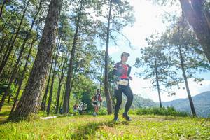 BIB: 
                            <button type="button" onclick="openModal(19286751)" class="btn btn-primary btn-sm float-right btn-popup" data-toggle="modal" data-target=".modal-high-quality">
                        <i class="fas fa-shopping-cart"></i> Add to Cart
                    </button>
                                            <button type="button" onclick="isThisMe(19286751, true)" class="btn btn-success btn-sm float-right btn-popup btn-isme hidden" data-toggle="tooltip" data-placement="bottom" title="นี่คือรูปของคุณใช่ไหม คลิกที่นี่เพื่อเอาเข้าอัลบั้ม">
                        <i class="fas fa-plus"></i> Add to album
                    </button>
                    <button type="button" onclick="isThisMe(19286751, false)" class="btn btn-warning btn-sm float-right btn-popup btn-isnotme hidden">
                        <i class="fas fa-ban"></i> Remove from album
                    </button>