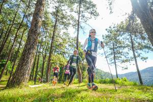 BIB: 
                            <button type="button" onclick="openModal(19290015)" class="btn btn-primary btn-sm float-right btn-popup" data-toggle="modal" data-target=".modal-high-quality">
                        <i class="fas fa-shopping-cart"></i> Add to Cart
                    </button>
                                            <button type="button" onclick="isThisMe(19290015, true)" class="btn btn-success btn-sm float-right btn-popup btn-isme hidden" data-toggle="tooltip" data-placement="bottom" title="นี่คือรูปของคุณใช่ไหม คลิกที่นี่เพื่อเอาเข้าอัลบั้ม">
                        <i class="fas fa-plus"></i> Add to album
                    </button>
                    <button type="button" onclick="isThisMe(19290015, false)" class="btn btn-warning btn-sm float-right btn-popup btn-isnotme hidden">
                        <i class="fas fa-ban"></i> Remove from album
                    </button>