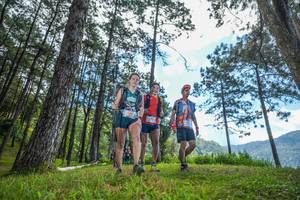 BIB: 121
                            <button type="button" onclick="openModal(19285983)" class="btn btn-primary btn-sm float-right btn-popup" data-toggle="modal" data-target=".modal-high-quality">
                        <i class="fas fa-shopping-cart"></i> Add to Cart
                    </button>
                                            <button type="button" onclick="isThisMe(19285983, true)" class="btn btn-success btn-sm float-right btn-popup btn-isme hidden" data-toggle="tooltip" data-placement="bottom" title="นี่คือรูปของคุณใช่ไหม คลิกที่นี่เพื่อเอาเข้าอัลบั้ม">
                        <i class="fas fa-plus"></i> Add to album
                    </button>
                    <button type="button" onclick="isThisMe(19285983, false)" class="btn btn-warning btn-sm float-right btn-popup btn-isnotme hidden">
                        <i class="fas fa-ban"></i> Remove from album
                    </button>