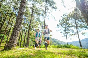 BIB: 
                            <button type="button" onclick="openModal(19288821)" class="btn btn-primary btn-sm float-right btn-popup" data-toggle="modal" data-target=".modal-high-quality">
                        <i class="fas fa-shopping-cart"></i> Add to Cart
                    </button>
                                            <button type="button" onclick="isThisMe(19288821, true)" class="btn btn-success btn-sm float-right btn-popup btn-isme hidden" data-toggle="tooltip" data-placement="bottom" title="นี่คือรูปของคุณใช่ไหม คลิกที่นี่เพื่อเอาเข้าอัลบั้ม">
                        <i class="fas fa-plus"></i> Add to album
                    </button>
                    <button type="button" onclick="isThisMe(19288821, false)" class="btn btn-warning btn-sm float-right btn-popup btn-isnotme hidden">
                        <i class="fas fa-ban"></i> Remove from album
                    </button>