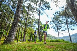 BIB: 
                            <button type="button" onclick="openModal(19289944)" class="btn btn-primary btn-sm float-right btn-popup" data-toggle="modal" data-target=".modal-high-quality">
                        <i class="fas fa-shopping-cart"></i> Add to Cart
                    </button>
                                            <button type="button" onclick="isThisMe(19289944, true)" class="btn btn-success btn-sm float-right btn-popup btn-isme hidden" data-toggle="tooltip" data-placement="bottom" title="นี่คือรูปของคุณใช่ไหม คลิกที่นี่เพื่อเอาเข้าอัลบั้ม">
                        <i class="fas fa-plus"></i> Add to album
                    </button>
                    <button type="button" onclick="isThisMe(19289944, false)" class="btn btn-warning btn-sm float-right btn-popup btn-isnotme hidden">
                        <i class="fas fa-ban"></i> Remove from album
                    </button>