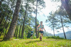 BIB: 
                            <button type="button" onclick="openModal(19286858)" class="btn btn-primary btn-sm float-right btn-popup" data-toggle="modal" data-target=".modal-high-quality">
                        <i class="fas fa-shopping-cart"></i> Add to Cart
                    </button>
                                            <button type="button" onclick="isThisMe(19286858, true)" class="btn btn-success btn-sm float-right btn-popup btn-isme hidden" data-toggle="tooltip" data-placement="bottom" title="นี่คือรูปของคุณใช่ไหม คลิกที่นี่เพื่อเอาเข้าอัลบั้ม">
                        <i class="fas fa-plus"></i> Add to album
                    </button>
                    <button type="button" onclick="isThisMe(19286858, false)" class="btn btn-warning btn-sm float-right btn-popup btn-isnotme hidden">
                        <i class="fas fa-ban"></i> Remove from album
                    </button>