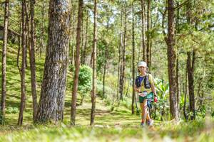 BIB: 
                            <button type="button" onclick="openModal(19292747)" class="btn btn-primary btn-sm float-right btn-popup" data-toggle="modal" data-target=".modal-high-quality">
                        <i class="fas fa-shopping-cart"></i> Add to Cart
                    </button>
                                            <button type="button" onclick="isThisMe(19292747, true)" class="btn btn-success btn-sm float-right btn-popup btn-isme hidden" data-toggle="tooltip" data-placement="bottom" title="นี่คือรูปของคุณใช่ไหม คลิกที่นี่เพื่อเอาเข้าอัลบั้ม">
                        <i class="fas fa-plus"></i> Add to album
                    </button>
                    <button type="button" onclick="isThisMe(19292747, false)" class="btn btn-warning btn-sm float-right btn-popup btn-isnotme hidden">
                        <i class="fas fa-ban"></i> Remove from album
                    </button>