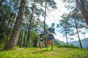 BIB: 
                            <button type="button" onclick="openModal(19286972)" class="btn btn-primary btn-sm float-right btn-popup" data-toggle="modal" data-target=".modal-high-quality">
                        <i class="fas fa-shopping-cart"></i> Add to Cart
                    </button>
                                            <button type="button" onclick="isThisMe(19286972, true)" class="btn btn-success btn-sm float-right btn-popup btn-isme hidden" data-toggle="tooltip" data-placement="bottom" title="นี่คือรูปของคุณใช่ไหม คลิกที่นี่เพื่อเอาเข้าอัลบั้ม">
                        <i class="fas fa-plus"></i> Add to album
                    </button>
                    <button type="button" onclick="isThisMe(19286972, false)" class="btn btn-warning btn-sm float-right btn-popup btn-isnotme hidden">
                        <i class="fas fa-ban"></i> Remove from album
                    </button>