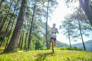 BIB: 
                            <button type="button" onclick="openModal(19283889)" class="btn btn-primary btn-sm float-right btn-popup" data-toggle="modal" data-target=".modal-high-quality">
                        <i class="fas fa-shopping-cart"></i> Add to Cart
                    </button>
                                            <button type="button" onclick="isThisMe(19283889, true)" class="btn btn-success btn-sm float-right btn-popup btn-isme hidden" data-toggle="tooltip" data-placement="bottom" title="นี่คือรูปของคุณใช่ไหม คลิกที่นี่เพื่อเอาเข้าอัลบั้ม">
                        <i class="fas fa-plus"></i> Add to album
                    </button>
                    <button type="button" onclick="isThisMe(19283889, false)" class="btn btn-warning btn-sm float-right btn-popup btn-isnotme hidden">
                        <i class="fas fa-ban"></i> Remove from album
                    </button>