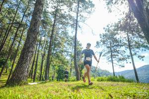 BIB: 
                            <button type="button" onclick="openModal(19283983)" class="btn btn-primary btn-sm float-right btn-popup" data-toggle="modal" data-target=".modal-high-quality">
                        <i class="fas fa-shopping-cart"></i> Add to Cart
                    </button>
                                            <button type="button" onclick="isThisMe(19283983, true)" class="btn btn-success btn-sm float-right btn-popup btn-isme hidden" data-toggle="tooltip" data-placement="bottom" title="นี่คือรูปของคุณใช่ไหม คลิกที่นี่เพื่อเอาเข้าอัลบั้ม">
                        <i class="fas fa-plus"></i> Add to album
                    </button>
                    <button type="button" onclick="isThisMe(19283983, false)" class="btn btn-warning btn-sm float-right btn-popup btn-isnotme hidden">
                        <i class="fas fa-ban"></i> Remove from album
                    </button>