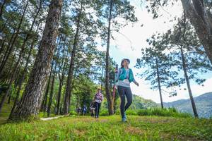 BIB: 
                            <button type="button" onclick="openModal(19290119)" class="btn btn-primary btn-sm float-right btn-popup" data-toggle="modal" data-target=".modal-high-quality">
                        <i class="fas fa-shopping-cart"></i> Add to Cart
                    </button>
                                            <button type="button" onclick="isThisMe(19290119, true)" class="btn btn-success btn-sm float-right btn-popup btn-isme hidden" data-toggle="tooltip" data-placement="bottom" title="นี่คือรูปของคุณใช่ไหม คลิกที่นี่เพื่อเอาเข้าอัลบั้ม">
                        <i class="fas fa-plus"></i> Add to album
                    </button>
                    <button type="button" onclick="isThisMe(19290119, false)" class="btn btn-warning btn-sm float-right btn-popup btn-isnotme hidden">
                        <i class="fas fa-ban"></i> Remove from album
                    </button>