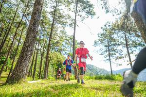 BIB: 
                            <button type="button" onclick="openModal(19288960)" class="btn btn-primary btn-sm float-right btn-popup" data-toggle="modal" data-target=".modal-high-quality">
                        <i class="fas fa-shopping-cart"></i> Add to Cart
                    </button>
                                            <button type="button" onclick="isThisMe(19288960, true)" class="btn btn-success btn-sm float-right btn-popup btn-isme hidden" data-toggle="tooltip" data-placement="bottom" title="นี่คือรูปของคุณใช่ไหม คลิกที่นี่เพื่อเอาเข้าอัลบั้ม">
                        <i class="fas fa-plus"></i> Add to album
                    </button>
                    <button type="button" onclick="isThisMe(19288960, false)" class="btn btn-warning btn-sm float-right btn-popup btn-isnotme hidden">
                        <i class="fas fa-ban"></i> Remove from album
                    </button>