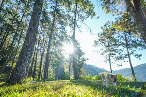 BIB: 
                            <button type="button" onclick="openModal(19278821)" class="btn btn-primary btn-sm float-right btn-popup" data-toggle="modal" data-target=".modal-high-quality">
                        <i class="fas fa-shopping-cart"></i> Add to Cart
                    </button>
                                            <button type="button" onclick="isThisMe(19278821, true)" class="btn btn-success btn-sm float-right btn-popup btn-isme hidden" data-toggle="tooltip" data-placement="bottom" title="นี่คือรูปของคุณใช่ไหม คลิกที่นี่เพื่อเอาเข้าอัลบั้ม">
                        <i class="fas fa-plus"></i> Add to album
                    </button>
                    <button type="button" onclick="isThisMe(19278821, false)" class="btn btn-warning btn-sm float-right btn-popup btn-isnotme hidden">
                        <i class="fas fa-ban"></i> Remove from album
                    </button>