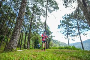 BIB: 
                            <button type="button" onclick="openModal(19287610)" class="btn btn-primary btn-sm float-right btn-popup" data-toggle="modal" data-target=".modal-high-quality">
                        <i class="fas fa-shopping-cart"></i> Add to Cart
                    </button>
                                            <button type="button" onclick="isThisMe(19287610, true)" class="btn btn-success btn-sm float-right btn-popup btn-isme hidden" data-toggle="tooltip" data-placement="bottom" title="นี่คือรูปของคุณใช่ไหม คลิกที่นี่เพื่อเอาเข้าอัลบั้ม">
                        <i class="fas fa-plus"></i> Add to album
                    </button>
                    <button type="button" onclick="isThisMe(19287610, false)" class="btn btn-warning btn-sm float-right btn-popup btn-isnotme hidden">
                        <i class="fas fa-ban"></i> Remove from album
                    </button>