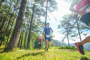 BIB: 
                            <button type="button" onclick="openModal(19286709)" class="btn btn-primary btn-sm float-right btn-popup" data-toggle="modal" data-target=".modal-high-quality">
                        <i class="fas fa-shopping-cart"></i> Add to Cart
                    </button>
                                            <button type="button" onclick="isThisMe(19286709, true)" class="btn btn-success btn-sm float-right btn-popup btn-isme hidden" data-toggle="tooltip" data-placement="bottom" title="นี่คือรูปของคุณใช่ไหม คลิกที่นี่เพื่อเอาเข้าอัลบั้ม">
                        <i class="fas fa-plus"></i> Add to album
                    </button>
                    <button type="button" onclick="isThisMe(19286709, false)" class="btn btn-warning btn-sm float-right btn-popup btn-isnotme hidden">
                        <i class="fas fa-ban"></i> Remove from album
                    </button>