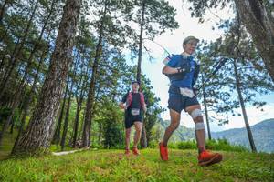 BIB: 
                            <button type="button" onclick="openModal(19285541)" class="btn btn-primary btn-sm float-right btn-popup" data-toggle="modal" data-target=".modal-high-quality">
                        <i class="fas fa-shopping-cart"></i> Add to Cart
                    </button>
                                            <button type="button" onclick="isThisMe(19285541, true)" class="btn btn-success btn-sm float-right btn-popup btn-isme hidden" data-toggle="tooltip" data-placement="bottom" title="นี่คือรูปของคุณใช่ไหม คลิกที่นี่เพื่อเอาเข้าอัลบั้ม">
                        <i class="fas fa-plus"></i> Add to album
                    </button>
                    <button type="button" onclick="isThisMe(19285541, false)" class="btn btn-warning btn-sm float-right btn-popup btn-isnotme hidden">
                        <i class="fas fa-ban"></i> Remove from album
                    </button>