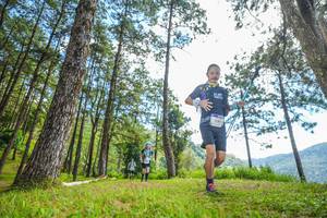 BIB: 
                            <button type="button" onclick="openModal(19288307)" class="btn btn-primary btn-sm float-right btn-popup" data-toggle="modal" data-target=".modal-high-quality">
                        <i class="fas fa-shopping-cart"></i> Add to Cart
                    </button>
                                            <button type="button" onclick="isThisMe(19288307, true)" class="btn btn-success btn-sm float-right btn-popup btn-isme hidden" data-toggle="tooltip" data-placement="bottom" title="นี่คือรูปของคุณใช่ไหม คลิกที่นี่เพื่อเอาเข้าอัลบั้ม">
                        <i class="fas fa-plus"></i> Add to album
                    </button>
                    <button type="button" onclick="isThisMe(19288307, false)" class="btn btn-warning btn-sm float-right btn-popup btn-isnotme hidden">
                        <i class="fas fa-ban"></i> Remove from album
                    </button>