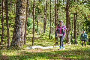 BIB: 6000
                            <button type="button" onclick="openModal(19291967)" class="btn btn-primary btn-sm float-right btn-popup" data-toggle="modal" data-target=".modal-high-quality">
                        <i class="fas fa-shopping-cart"></i> Add to Cart
                    </button>
                                            <button type="button" onclick="isThisMe(19291967, true)" class="btn btn-success btn-sm float-right btn-popup btn-isme hidden" data-toggle="tooltip" data-placement="bottom" title="นี่คือรูปของคุณใช่ไหม คลิกที่นี่เพื่อเอาเข้าอัลบั้ม">
                        <i class="fas fa-plus"></i> Add to album
                    </button>
                    <button type="button" onclick="isThisMe(19291967, false)" class="btn btn-warning btn-sm float-right btn-popup btn-isnotme hidden">
                        <i class="fas fa-ban"></i> Remove from album
                    </button>