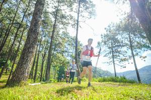 BIB: 
                            <button type="button" onclick="openModal(19286576)" class="btn btn-primary btn-sm float-right btn-popup" data-toggle="modal" data-target=".modal-high-quality">
                        <i class="fas fa-shopping-cart"></i> Add to Cart
                    </button>
                                            <button type="button" onclick="isThisMe(19286576, true)" class="btn btn-success btn-sm float-right btn-popup btn-isme hidden" data-toggle="tooltip" data-placement="bottom" title="นี่คือรูปของคุณใช่ไหม คลิกที่นี่เพื่อเอาเข้าอัลบั้ม">
                        <i class="fas fa-plus"></i> Add to album
                    </button>
                    <button type="button" onclick="isThisMe(19286576, false)" class="btn btn-warning btn-sm float-right btn-popup btn-isnotme hidden">
                        <i class="fas fa-ban"></i> Remove from album
                    </button>