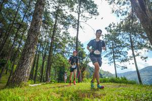 BIB: 
                            <button type="button" onclick="openModal(19286974)" class="btn btn-primary btn-sm float-right btn-popup" data-toggle="modal" data-target=".modal-high-quality">
                        <i class="fas fa-shopping-cart"></i> Add to Cart
                    </button>
                                            <button type="button" onclick="isThisMe(19286974, true)" class="btn btn-success btn-sm float-right btn-popup btn-isme hidden" data-toggle="tooltip" data-placement="bottom" title="นี่คือรูปของคุณใช่ไหม คลิกที่นี่เพื่อเอาเข้าอัลบั้ม">
                        <i class="fas fa-plus"></i> Add to album
                    </button>
                    <button type="button" onclick="isThisMe(19286974, false)" class="btn btn-warning btn-sm float-right btn-popup btn-isnotme hidden">
                        <i class="fas fa-ban"></i> Remove from album
                    </button>