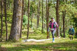 BIB: 
                            <button type="button" onclick="openModal(19291971)" class="btn btn-primary btn-sm float-right btn-popup" data-toggle="modal" data-target=".modal-high-quality">
                        <i class="fas fa-shopping-cart"></i> Add to Cart
                    </button>
                                            <button type="button" onclick="isThisMe(19291971, true)" class="btn btn-success btn-sm float-right btn-popup btn-isme hidden" data-toggle="tooltip" data-placement="bottom" title="นี่คือรูปของคุณใช่ไหม คลิกที่นี่เพื่อเอาเข้าอัลบั้ม">
                        <i class="fas fa-plus"></i> Add to album
                    </button>
                    <button type="button" onclick="isThisMe(19291971, false)" class="btn btn-warning btn-sm float-right btn-popup btn-isnotme hidden">
                        <i class="fas fa-ban"></i> Remove from album
                    </button>