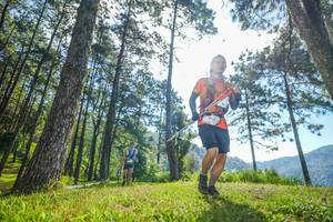 BIB: 340
                            <button type="button" onclick="openModal(19281096)" class="btn btn-primary btn-sm float-right btn-popup" data-toggle="modal" data-target=".modal-high-quality">
                        <i class="fas fa-shopping-cart"></i> Add to Cart
                    </button>
                                            <button type="button" onclick="isThisMe(19281096, true)" class="btn btn-success btn-sm float-right btn-popup btn-isme hidden" data-toggle="tooltip" data-placement="bottom" title="นี่คือรูปของคุณใช่ไหม คลิกที่นี่เพื่อเอาเข้าอัลบั้ม">
                        <i class="fas fa-plus"></i> Add to album
                    </button>
                    <button type="button" onclick="isThisMe(19281096, false)" class="btn btn-warning btn-sm float-right btn-popup btn-isnotme hidden">
                        <i class="fas fa-ban"></i> Remove from album
                    </button>