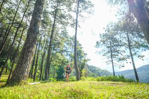 BIB: 
                            <button type="button" onclick="openModal(19285805)" class="btn btn-primary btn-sm float-right btn-popup" data-toggle="modal" data-target=".modal-high-quality">
                        <i class="fas fa-shopping-cart"></i> Add to Cart
                    </button>
                                            <button type="button" onclick="isThisMe(19285805, true)" class="btn btn-success btn-sm float-right btn-popup btn-isme hidden" data-toggle="tooltip" data-placement="bottom" title="นี่คือรูปของคุณใช่ไหม คลิกที่นี่เพื่อเอาเข้าอัลบั้ม">
                        <i class="fas fa-plus"></i> Add to album
                    </button>
                    <button type="button" onclick="isThisMe(19285805, false)" class="btn btn-warning btn-sm float-right btn-popup btn-isnotme hidden">
                        <i class="fas fa-ban"></i> Remove from album
                    </button>