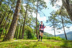 BIB: 
                            <button type="button" onclick="openModal(19291553)" class="btn btn-primary btn-sm float-right btn-popup" data-toggle="modal" data-target=".modal-high-quality">
                        <i class="fas fa-shopping-cart"></i> Add to Cart
                    </button>
                                            <button type="button" onclick="isThisMe(19291553, true)" class="btn btn-success btn-sm float-right btn-popup btn-isme hidden" data-toggle="tooltip" data-placement="bottom" title="นี่คือรูปของคุณใช่ไหม คลิกที่นี่เพื่อเอาเข้าอัลบั้ม">
                        <i class="fas fa-plus"></i> Add to album
                    </button>
                    <button type="button" onclick="isThisMe(19291553, false)" class="btn btn-warning btn-sm float-right btn-popup btn-isnotme hidden">
                        <i class="fas fa-ban"></i> Remove from album
                    </button>