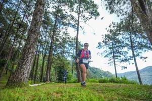 BIB: 
                            <button type="button" onclick="openModal(19287346)" class="btn btn-primary btn-sm float-right btn-popup" data-toggle="modal" data-target=".modal-high-quality">
                        <i class="fas fa-shopping-cart"></i> Add to Cart
                    </button>
                                            <button type="button" onclick="isThisMe(19287346, true)" class="btn btn-success btn-sm float-right btn-popup btn-isme hidden" data-toggle="tooltip" data-placement="bottom" title="นี่คือรูปของคุณใช่ไหม คลิกที่นี่เพื่อเอาเข้าอัลบั้ม">
                        <i class="fas fa-plus"></i> Add to album
                    </button>
                    <button type="button" onclick="isThisMe(19287346, false)" class="btn btn-warning btn-sm float-right btn-popup btn-isnotme hidden">
                        <i class="fas fa-ban"></i> Remove from album
                    </button>