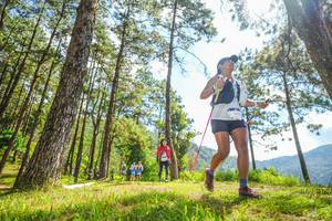 BIB: 
                            <button type="button" onclick="openModal(19289113)" class="btn btn-primary btn-sm float-right btn-popup" data-toggle="modal" data-target=".modal-high-quality">
                        <i class="fas fa-shopping-cart"></i> Add to Cart
                    </button>
                                            <button type="button" onclick="isThisMe(19289113, true)" class="btn btn-success btn-sm float-right btn-popup btn-isme hidden" data-toggle="tooltip" data-placement="bottom" title="นี่คือรูปของคุณใช่ไหม คลิกที่นี่เพื่อเอาเข้าอัลบั้ม">
                        <i class="fas fa-plus"></i> Add to album
                    </button>
                    <button type="button" onclick="isThisMe(19289113, false)" class="btn btn-warning btn-sm float-right btn-popup btn-isnotme hidden">
                        <i class="fas fa-ban"></i> Remove from album
                    </button>