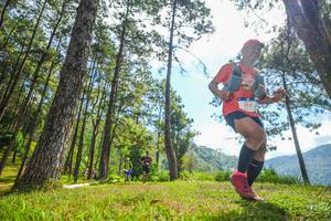 BIB: 5630
                            <button type="button" onclick="openModal(19286840)" class="btn btn-primary btn-sm float-right btn-popup" data-toggle="modal" data-target=".modal-high-quality">
                        <i class="fas fa-shopping-cart"></i> Add to Cart
                    </button>
                                            <button type="button" onclick="isThisMe(19286840, true)" class="btn btn-success btn-sm float-right btn-popup btn-isme hidden" data-toggle="tooltip" data-placement="bottom" title="นี่คือรูปของคุณใช่ไหม คลิกที่นี่เพื่อเอาเข้าอัลบั้ม">
                        <i class="fas fa-plus"></i> Add to album
                    </button>
                    <button type="button" onclick="isThisMe(19286840, false)" class="btn btn-warning btn-sm float-right btn-popup btn-isnotme hidden">
                        <i class="fas fa-ban"></i> Remove from album
                    </button>