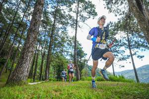 BIB: 6374, 
                            <button type="button" onclick="openModal(19288081)" class="btn btn-primary btn-sm float-right btn-popup" data-toggle="modal" data-target=".modal-high-quality">
                        <i class="fas fa-shopping-cart"></i> Add to Cart
                    </button>
                                            <button type="button" onclick="isThisMe(19288081, true)" class="btn btn-success btn-sm float-right btn-popup btn-isme hidden" data-toggle="tooltip" data-placement="bottom" title="นี่คือรูปของคุณใช่ไหม คลิกที่นี่เพื่อเอาเข้าอัลบั้ม">
                        <i class="fas fa-plus"></i> Add to album
                    </button>
                    <button type="button" onclick="isThisMe(19288081, false)" class="btn btn-warning btn-sm float-right btn-popup btn-isnotme hidden">
                        <i class="fas fa-ban"></i> Remove from album
                    </button>