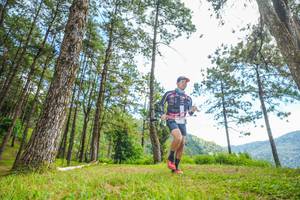 BIB: 
                            <button type="button" onclick="openModal(19288417)" class="btn btn-primary btn-sm float-right btn-popup" data-toggle="modal" data-target=".modal-high-quality">
                        <i class="fas fa-shopping-cart"></i> Add to Cart
                    </button>
                                            <button type="button" onclick="isThisMe(19288417, true)" class="btn btn-success btn-sm float-right btn-popup btn-isme hidden" data-toggle="tooltip" data-placement="bottom" title="นี่คือรูปของคุณใช่ไหม คลิกที่นี่เพื่อเอาเข้าอัลบั้ม">
                        <i class="fas fa-plus"></i> Add to album
                    </button>
                    <button type="button" onclick="isThisMe(19288417, false)" class="btn btn-warning btn-sm float-right btn-popup btn-isnotme hidden">
                        <i class="fas fa-ban"></i> Remove from album
                    </button>