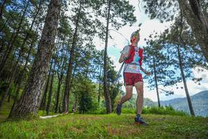 BIB: 610
                            <button type="button" onclick="openModal(19286946)" class="btn btn-primary btn-sm float-right btn-popup" data-toggle="modal" data-target=".modal-high-quality">
                        <i class="fas fa-shopping-cart"></i> Add to Cart
                    </button>
                                            <button type="button" onclick="isThisMe(19286946, true)" class="btn btn-success btn-sm float-right btn-popup btn-isme hidden" data-toggle="tooltip" data-placement="bottom" title="นี่คือรูปของคุณใช่ไหม คลิกที่นี่เพื่อเอาเข้าอัลบั้ม">
                        <i class="fas fa-plus"></i> Add to album
                    </button>
                    <button type="button" onclick="isThisMe(19286946, false)" class="btn btn-warning btn-sm float-right btn-popup btn-isnotme hidden">
                        <i class="fas fa-ban"></i> Remove from album
                    </button>