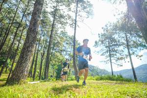 BIB: 
                            <button type="button" onclick="openModal(19286555)" class="btn btn-primary btn-sm float-right btn-popup" data-toggle="modal" data-target=".modal-high-quality">
                        <i class="fas fa-shopping-cart"></i> Add to Cart
                    </button>
                                            <button type="button" onclick="isThisMe(19286555, true)" class="btn btn-success btn-sm float-right btn-popup btn-isme hidden" data-toggle="tooltip" data-placement="bottom" title="นี่คือรูปของคุณใช่ไหม คลิกที่นี่เพื่อเอาเข้าอัลบั้ม">
                        <i class="fas fa-plus"></i> Add to album
                    </button>
                    <button type="button" onclick="isThisMe(19286555, false)" class="btn btn-warning btn-sm float-right btn-popup btn-isnotme hidden">
                        <i class="fas fa-ban"></i> Remove from album
                    </button>