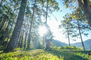 BIB: 
                            <button type="button" onclick="openModal(19278706)" class="btn btn-primary btn-sm float-right btn-popup" data-toggle="modal" data-target=".modal-high-quality">
                        <i class="fas fa-shopping-cart"></i> Add to Cart
                    </button>
                                            <button type="button" onclick="isThisMe(19278706, true)" class="btn btn-success btn-sm float-right btn-popup btn-isme hidden" data-toggle="tooltip" data-placement="bottom" title="นี่คือรูปของคุณใช่ไหม คลิกที่นี่เพื่อเอาเข้าอัลบั้ม">
                        <i class="fas fa-plus"></i> Add to album
                    </button>
                    <button type="button" onclick="isThisMe(19278706, false)" class="btn btn-warning btn-sm float-right btn-popup btn-isnotme hidden">
                        <i class="fas fa-ban"></i> Remove from album
                    </button>