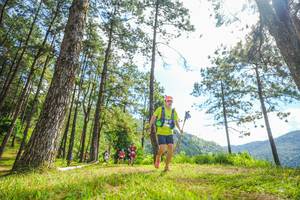 BIB: 
                            <button type="button" onclick="openModal(19289401)" class="btn btn-primary btn-sm float-right btn-popup" data-toggle="modal" data-target=".modal-high-quality">
                        <i class="fas fa-shopping-cart"></i> Add to Cart
                    </button>
                                            <button type="button" onclick="isThisMe(19289401, true)" class="btn btn-success btn-sm float-right btn-popup btn-isme hidden" data-toggle="tooltip" data-placement="bottom" title="นี่คือรูปของคุณใช่ไหม คลิกที่นี่เพื่อเอาเข้าอัลบั้ม">
                        <i class="fas fa-plus"></i> Add to album
                    </button>
                    <button type="button" onclick="isThisMe(19289401, false)" class="btn btn-warning btn-sm float-right btn-popup btn-isnotme hidden">
                        <i class="fas fa-ban"></i> Remove from album
                    </button>