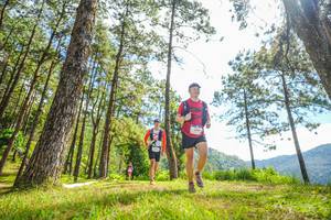 BIB: 
                            <button type="button" onclick="openModal(19289679)" class="btn btn-primary btn-sm float-right btn-popup" data-toggle="modal" data-target=".modal-high-quality">
                        <i class="fas fa-shopping-cart"></i> Add to Cart
                    </button>
                                            <button type="button" onclick="isThisMe(19289679, true)" class="btn btn-success btn-sm float-right btn-popup btn-isme hidden" data-toggle="tooltip" data-placement="bottom" title="นี่คือรูปของคุณใช่ไหม คลิกที่นี่เพื่อเอาเข้าอัลบั้ม">
                        <i class="fas fa-plus"></i> Add to album
                    </button>
                    <button type="button" onclick="isThisMe(19289679, false)" class="btn btn-warning btn-sm float-right btn-popup btn-isnotme hidden">
                        <i class="fas fa-ban"></i> Remove from album
                    </button>