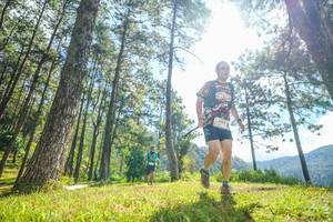 BIB: 5453
                            <button type="button" onclick="openModal(19285242)" class="btn btn-primary btn-sm float-right btn-popup" data-toggle="modal" data-target=".modal-high-quality">
                        <i class="fas fa-shopping-cart"></i> Add to Cart
                    </button>
                                            <button type="button" onclick="isThisMe(19285242, true)" class="btn btn-success btn-sm float-right btn-popup btn-isme hidden" data-toggle="tooltip" data-placement="bottom" title="นี่คือรูปของคุณใช่ไหม คลิกที่นี่เพื่อเอาเข้าอัลบั้ม">
                        <i class="fas fa-plus"></i> Add to album
                    </button>
                    <button type="button" onclick="isThisMe(19285242, false)" class="btn btn-warning btn-sm float-right btn-popup btn-isnotme hidden">
                        <i class="fas fa-ban"></i> Remove from album
                    </button>