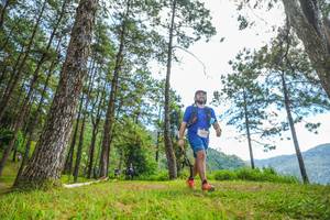 BIB: 
                            <button type="button" onclick="openModal(19287454)" class="btn btn-primary btn-sm float-right btn-popup" data-toggle="modal" data-target=".modal-high-quality">
                        <i class="fas fa-shopping-cart"></i> Add to Cart
                    </button>
                                            <button type="button" onclick="isThisMe(19287454, true)" class="btn btn-success btn-sm float-right btn-popup btn-isme hidden" data-toggle="tooltip" data-placement="bottom" title="นี่คือรูปของคุณใช่ไหม คลิกที่นี่เพื่อเอาเข้าอัลบั้ม">
                        <i class="fas fa-plus"></i> Add to album
                    </button>
                    <button type="button" onclick="isThisMe(19287454, false)" class="btn btn-warning btn-sm float-right btn-popup btn-isnotme hidden">
                        <i class="fas fa-ban"></i> Remove from album
                    </button>