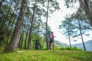 BIB: 
                            <button type="button" onclick="openModal(19287646)" class="btn btn-primary btn-sm float-right btn-popup" data-toggle="modal" data-target=".modal-high-quality">
                        <i class="fas fa-shopping-cart"></i> Add to Cart
                    </button>
                                            <button type="button" onclick="isThisMe(19287646, true)" class="btn btn-success btn-sm float-right btn-popup btn-isme hidden" data-toggle="tooltip" data-placement="bottom" title="นี่คือรูปของคุณใช่ไหม คลิกที่นี่เพื่อเอาเข้าอัลบั้ม">
                        <i class="fas fa-plus"></i> Add to album
                    </button>
                    <button type="button" onclick="isThisMe(19287646, false)" class="btn btn-warning btn-sm float-right btn-popup btn-isnotme hidden">
                        <i class="fas fa-ban"></i> Remove from album
                    </button>