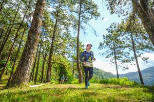 BIB: 
                            <button type="button" onclick="openModal(19291395)" class="btn btn-primary btn-sm float-right btn-popup" data-toggle="modal" data-target=".modal-high-quality">
                        <i class="fas fa-shopping-cart"></i> Add to Cart
                    </button>
                                            <button type="button" onclick="isThisMe(19291395, true)" class="btn btn-success btn-sm float-right btn-popup btn-isme hidden" data-toggle="tooltip" data-placement="bottom" title="นี่คือรูปของคุณใช่ไหม คลิกที่นี่เพื่อเอาเข้าอัลบั้ม">
                        <i class="fas fa-plus"></i> Add to album
                    </button>
                    <button type="button" onclick="isThisMe(19291395, false)" class="btn btn-warning btn-sm float-right btn-popup btn-isnotme hidden">
                        <i class="fas fa-ban"></i> Remove from album
                    </button>