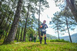 BIB: 445
                            <button type="button" onclick="openModal(19285752)" class="btn btn-primary btn-sm float-right btn-popup" data-toggle="modal" data-target=".modal-high-quality">
                        <i class="fas fa-shopping-cart"></i> Add to Cart
                    </button>
                                            <button type="button" onclick="isThisMe(19285752, true)" class="btn btn-success btn-sm float-right btn-popup btn-isme hidden" data-toggle="tooltip" data-placement="bottom" title="นี่คือรูปของคุณใช่ไหม คลิกที่นี่เพื่อเอาเข้าอัลบั้ม">
                        <i class="fas fa-plus"></i> Add to album
                    </button>
                    <button type="button" onclick="isThisMe(19285752, false)" class="btn btn-warning btn-sm float-right btn-popup btn-isnotme hidden">
                        <i class="fas fa-ban"></i> Remove from album
                    </button>