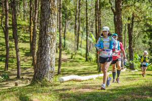 BIB: 18043
                            <button type="button" onclick="openModal(19291865)" class="btn btn-primary btn-sm float-right btn-popup" data-toggle="modal" data-target=".modal-high-quality">
                        <i class="fas fa-shopping-cart"></i> Add to Cart
                    </button>
                                            <button type="button" onclick="isThisMe(19291865, true)" class="btn btn-success btn-sm float-right btn-popup btn-isme hidden" data-toggle="tooltip" data-placement="bottom" title="นี่คือรูปของคุณใช่ไหม คลิกที่นี่เพื่อเอาเข้าอัลบั้ม">
                        <i class="fas fa-plus"></i> Add to album
                    </button>
                    <button type="button" onclick="isThisMe(19291865, false)" class="btn btn-warning btn-sm float-right btn-popup btn-isnotme hidden">
                        <i class="fas fa-ban"></i> Remove from album
                    </button>