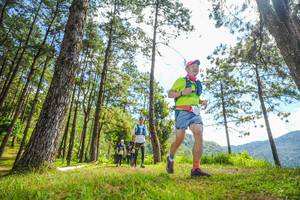 BIB: 
                            <button type="button" onclick="openModal(19289519)" class="btn btn-primary btn-sm float-right btn-popup" data-toggle="modal" data-target=".modal-high-quality">
                        <i class="fas fa-shopping-cart"></i> Add to Cart
                    </button>
                                            <button type="button" onclick="isThisMe(19289519, true)" class="btn btn-success btn-sm float-right btn-popup btn-isme hidden" data-toggle="tooltip" data-placement="bottom" title="นี่คือรูปของคุณใช่ไหม คลิกที่นี่เพื่อเอาเข้าอัลบั้ม">
                        <i class="fas fa-plus"></i> Add to album
                    </button>
                    <button type="button" onclick="isThisMe(19289519, false)" class="btn btn-warning btn-sm float-right btn-popup btn-isnotme hidden">
                        <i class="fas fa-ban"></i> Remove from album
                    </button>