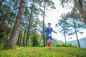 BIB: 
                            <button type="button" onclick="openModal(19288379)" class="btn btn-primary btn-sm float-right btn-popup" data-toggle="modal" data-target=".modal-high-quality">
                        <i class="fas fa-shopping-cart"></i> Add to Cart
                    </button>
                                            <button type="button" onclick="isThisMe(19288379, true)" class="btn btn-success btn-sm float-right btn-popup btn-isme hidden" data-toggle="tooltip" data-placement="bottom" title="นี่คือรูปของคุณใช่ไหม คลิกที่นี่เพื่อเอาเข้าอัลบั้ม">
                        <i class="fas fa-plus"></i> Add to album
                    </button>
                    <button type="button" onclick="isThisMe(19288379, false)" class="btn btn-warning btn-sm float-right btn-popup btn-isnotme hidden">
                        <i class="fas fa-ban"></i> Remove from album
                    </button>