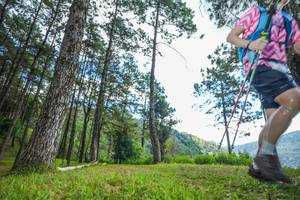 BIB: 
                            <button type="button" onclick="openModal(19287980)" class="btn btn-primary btn-sm float-right btn-popup" data-toggle="modal" data-target=".modal-high-quality">
                        <i class="fas fa-shopping-cart"></i> Add to Cart
                    </button>
                                            <button type="button" onclick="isThisMe(19287980, true)" class="btn btn-success btn-sm float-right btn-popup btn-isme hidden" data-toggle="tooltip" data-placement="bottom" title="นี่คือรูปของคุณใช่ไหม คลิกที่นี่เพื่อเอาเข้าอัลบั้ม">
                        <i class="fas fa-plus"></i> Add to album
                    </button>
                    <button type="button" onclick="isThisMe(19287980, false)" class="btn btn-warning btn-sm float-right btn-popup btn-isnotme hidden">
                        <i class="fas fa-ban"></i> Remove from album
                    </button>