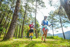 BIB: 
                            <button type="button" onclick="openModal(19289741)" class="btn btn-primary btn-sm float-right btn-popup" data-toggle="modal" data-target=".modal-high-quality">
                        <i class="fas fa-shopping-cart"></i> Add to Cart
                    </button>
                                            <button type="button" onclick="isThisMe(19289741, true)" class="btn btn-success btn-sm float-right btn-popup btn-isme hidden" data-toggle="tooltip" data-placement="bottom" title="นี่คือรูปของคุณใช่ไหม คลิกที่นี่เพื่อเอาเข้าอัลบั้ม">
                        <i class="fas fa-plus"></i> Add to album
                    </button>
                    <button type="button" onclick="isThisMe(19289741, false)" class="btn btn-warning btn-sm float-right btn-popup btn-isnotme hidden">
                        <i class="fas fa-ban"></i> Remove from album
                    </button>